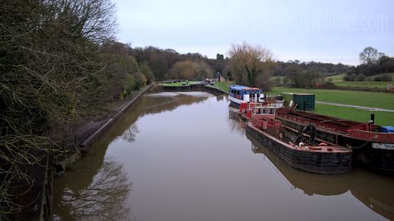 WP_20160103_10_51_18_Pro