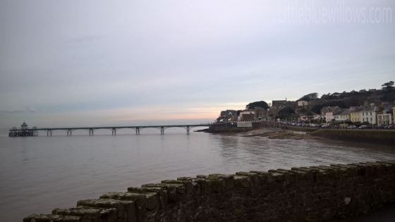 WP_20160106_15_56_05_Pro