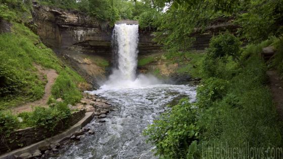 WP_20180603_12_31_56_Rich