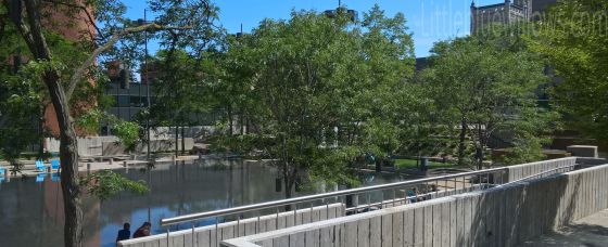 WP_20190731_15_29_15_Rich