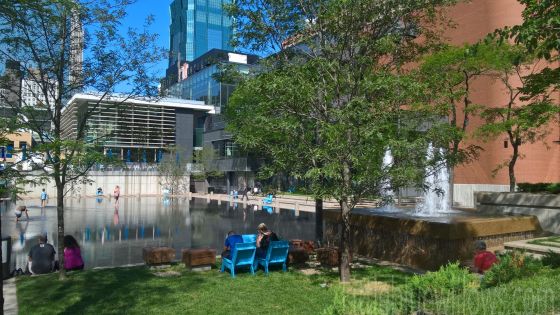 WP_20190731_16_06_43_Pro